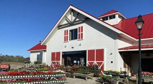 One Of The Largest Pumpkin Patches In New Hampshire Is A Must-Visit Day Trip This Fall