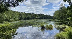 The Most Remote State Park In New Hampshire Is The Perfect Place To Escape