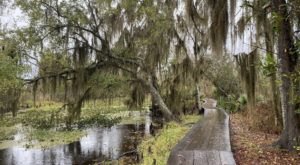 The 7 Most Beautiful Short And Sweet Hikes Near New Orleans