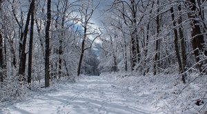 You Might Be Surprised To Hear The Predictions About Pennsylvania’s Cold, Snowy, And Slushy Upcoming Winter