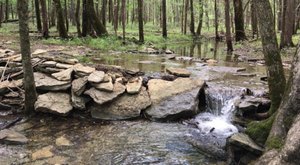 7 Of The Greatest Hiking Trails In Nashville For Beginners