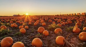 There’s A Fall-Themed Festival In Rhode Island And It’s Just As Wonderful As It Sounds