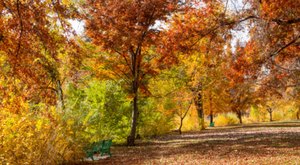 Here Are The Best Times And Places To View Nevada’s Fall Foliage In 2023