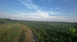 The 3.3-Mile South Loop Trail Might Just Be The Most Enchanting Hike In Rhode Island