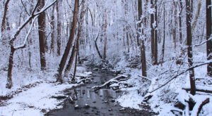 9 Picturesque Trails Around Philadelphia That Are Perfect For Winter Hiking