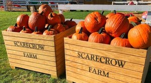 The Largest Pumpkin Patch In Iowa Is A Must-Visit Day Trip This Fall