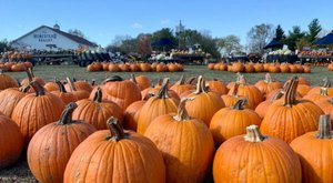 The Largest Pumpkin Patch In Illinois Is A Must-Visit Day Trip This Fall