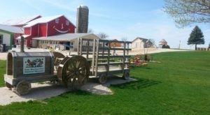 There’s A Petting Farm Near Milwaukee And You’re Going To Love It