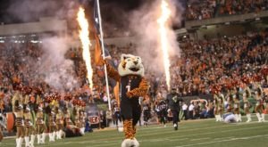 9 Reasons Why Cincinnati Football Fans Are The Absolute BEST