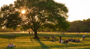 Here Are The 7 Safest And Most Peaceful Places To Live In Austin