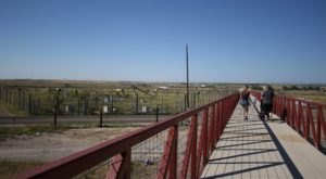 A Hidden Destination Near Denver, The Wild Animal Sanctuary Is A Secret Only Locals Know About