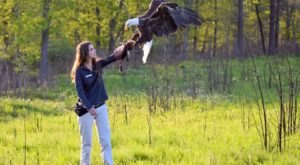 There’s A Unique Bird Sanctuary In St. Louis… And It’s Truly Spectacular