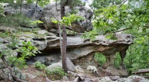 The Park Near St. Louis That Will Make You Feel Like You Walked Into A Fairy Tale