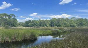 The Rugged And Remote Hiking Trail In Mississippi That Is Well-Worth The Effort