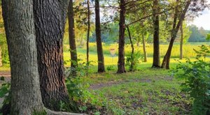 Often Mistaken For The State Park, Big Creek Wildlife Area Is An Iowa Hidden Gem