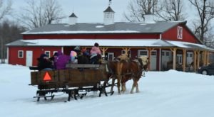 This 30-Minute Buffalo Sleigh Ride Takes You Through A Winter Wonderland