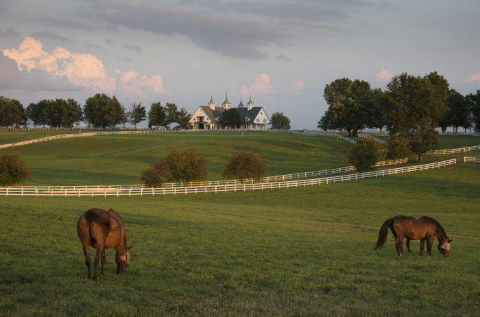 Kentucky Newsletter