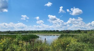 The Easy Trail That Might As Well Be The Bird Capital Of Wisconsin