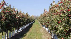 The Harvest Festival In Pennsylvania Belongs On Your Autumn Bucket List