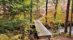 The 3.1-Mile Marion Brooks Trail Leads Hikers To The Most Spectacular Fall Foliage In Pennsylvania