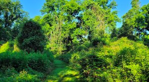 The Enchanting Wildlife Refuge In Louisiana Is One Of The Best Places To Enjoy Autumn