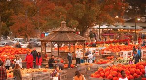 The Ultimate Guide To Fall Fun In Pennsylvania