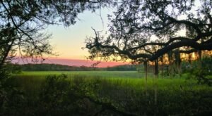 Little Talbot Island Is An Easy Hike In Florida That Takes You To An Unforgettable View