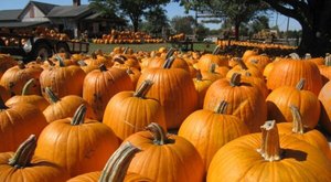 The Ultimate Guide To Fall Fun In Ohio