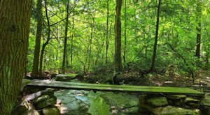 The 6-Mile Bear Creek Red Loop Trail Might Just Be The Most Enchanting Hike In Pennsylvania