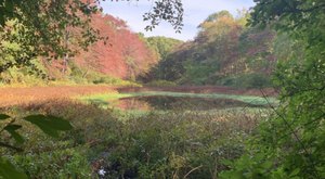 This Remote Park In Rhode Island Is The Perfect Place To Escape