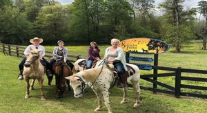 There’s A Bed and Breakfast On This Farm In Louisiana And You Simply Have To Visit