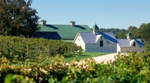The Remote Winery Near Baltimore That’s Picture Perfect For A Day Trip