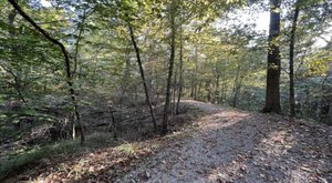 The 6-Mile Port Hudson Trail Might Just Be The Most Enchanting Hike In Louisiana