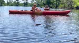 The Incredible Swamp Experience In Louisiana Where Alligators, Owls, Turtles, And More