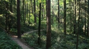 The Awesome Hike In Portland That Will Take You Straight To An Abandoned Castle