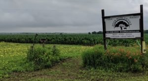 You’ll Have Loads Of Fun At This Dairy Farm Near Austin With Incredible Cheese And Produce