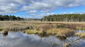 The Wisconsin Trail With An Old Growth Forest And Hidden Lake You Just Can’t Beat