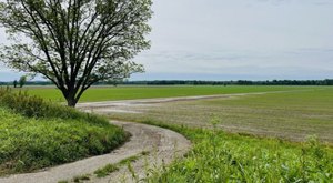 Walk Along A Former Railroad On This Easy Hiking Trail In Missouri