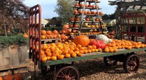 The Small-Town Harvest Festival In Rhode Island Belongs On Your Autumn Bucket List