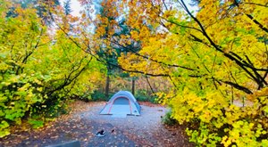 The Underrated State Park Where You Can View The Best Fall Foliage In Washington