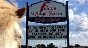 One Of The Largest Pumpkin Patch In Tennessee Is A Must-Visit Day Trip This Fall