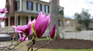 Explore A Little-Known Arboretum In This Small North Carolina Country Town