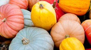 One Of The Largest Pumpkin Patches In New York Is A Must-Visit Day Trip This Fall