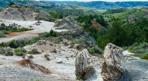 A Bit Of An Unexpected Natural Wonder, Few People Know There’s A Petrified Forest Hiding In North Dakota