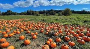 Here Are The 11 Absolute Best Pumpkin Patches In Alabama To Enjoy In 2023