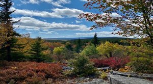 The 11-Mile Blackbird Knob Loop Trail Might Just Be The Most Enchanting Hike In West Virginia