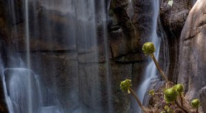 These 10 Epic Waterfalls Near San Francisco Will Take Your Breath Away