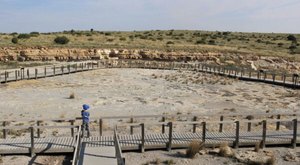 A Trip To This Fossil Park In New Mexico Is An Adventure Like No Other