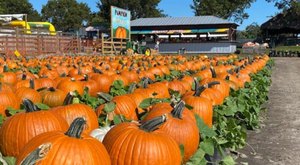 The Small-Town Harvest Festival In Florida Belongs On Your Autumn Bucket List