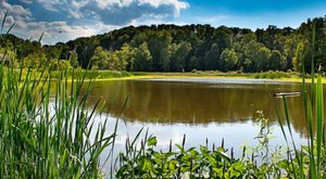 This Off-The-Beaten-Path Park In The Cleveland Metroparks Is The Perfect Place To Escape